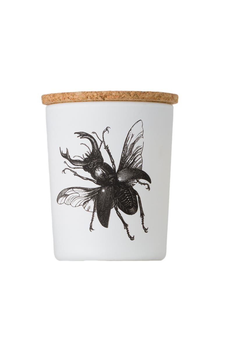 Vila Hermanos Insect Candle In Jar 2.65 Ounce, Alternate, color, Lucanus Cervus