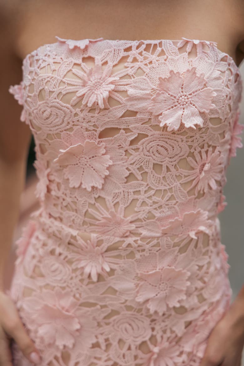 Strapless Lace Floral Detail Fitted Midi Dress, Alternate, color, Blush