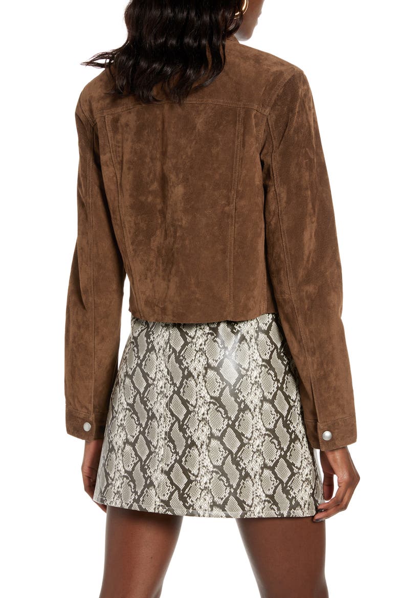 Crop Suede Trucker Jacket, Alternate, color, RODEO
