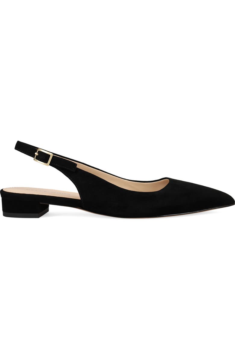Pelle Moda Aali Pointed Toe Slingback Flat, Alternate, color, Black