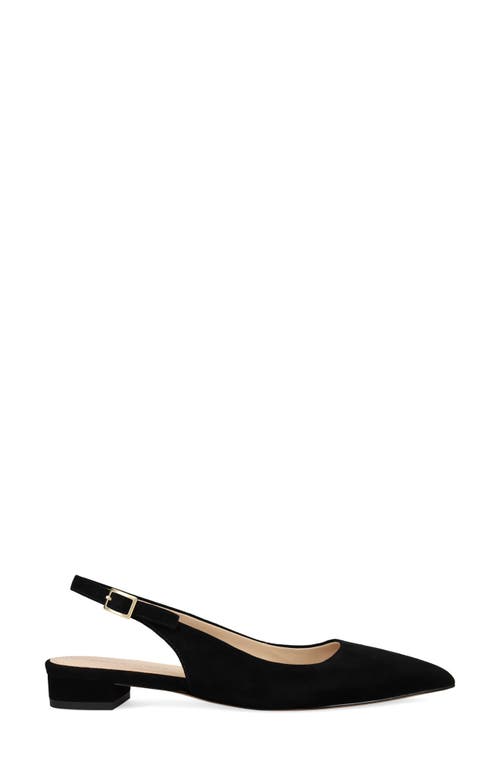 Pelle Moda Aali Pointed Toe Slingback Flat In Black