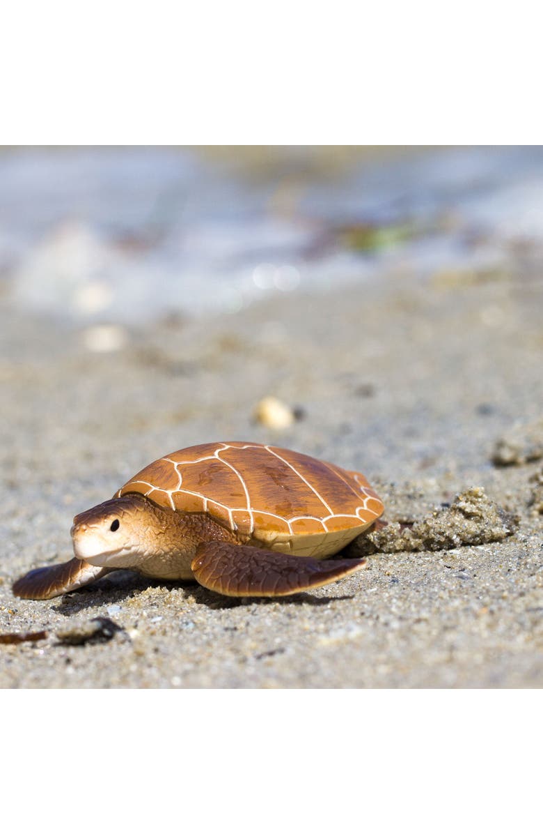 Safari Ltd. Green Sea Turtle Kids Toy Figure, Alternate, color, NO COLOR