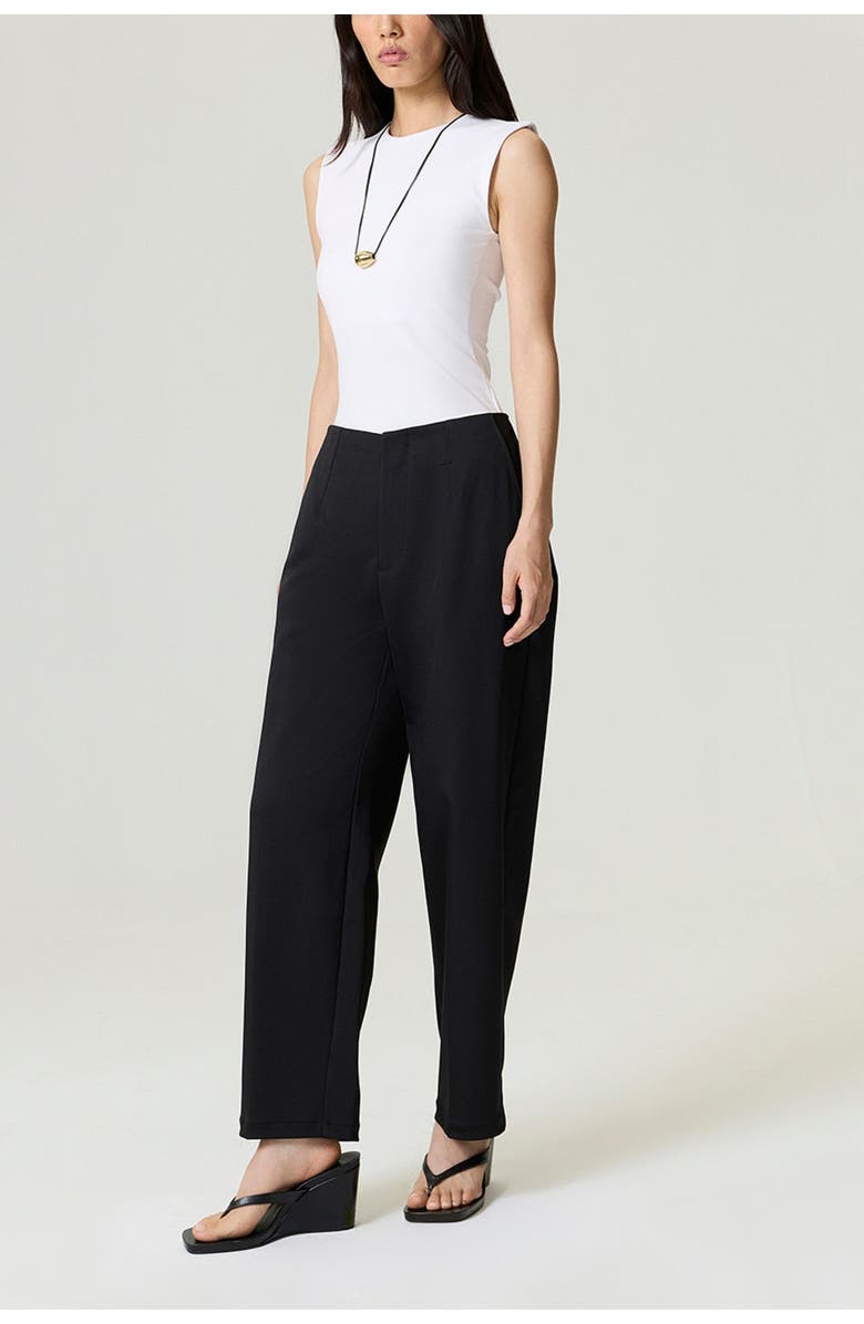 Nocturne Pleat Detailed Pants, Alternate, color, Black