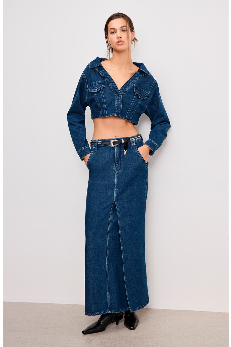 Denim Crop Top, Alternate, color, INDIGO724