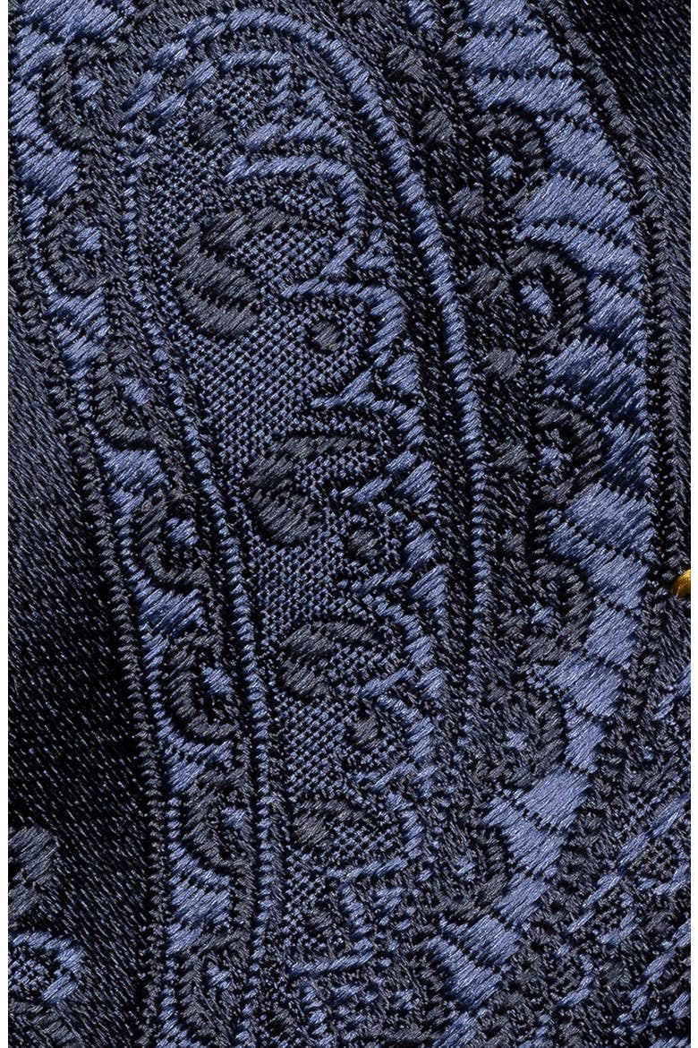 Paisley Woven Silk Tie, Alternate, color, NAVY