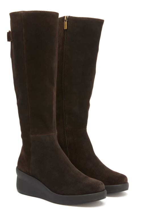 Abeo Passage Tall Boot In Dark Brown - Regular