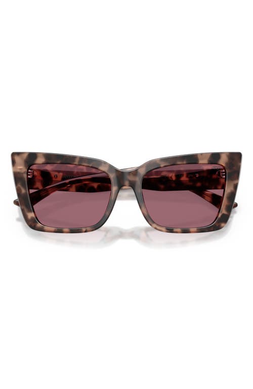 Jimmy Choo 54mm Butterfly Sunglasses In Opal Pink Havana/violet