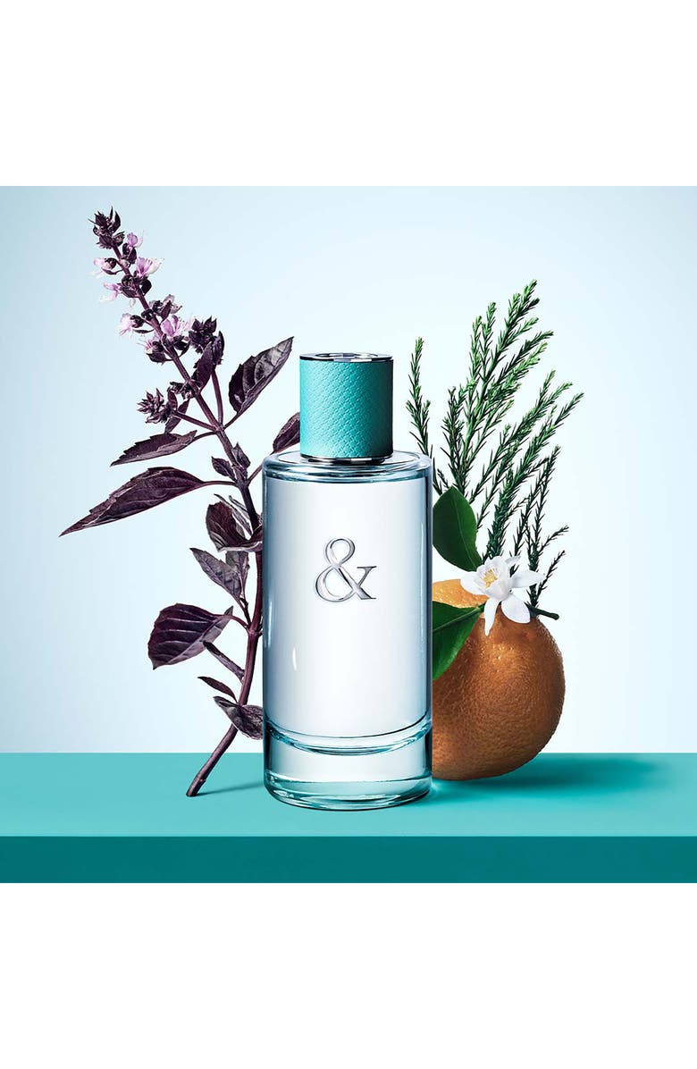 Tiffany & Co. Tiffany & Love Women's Gift Set, Alternate, color, 