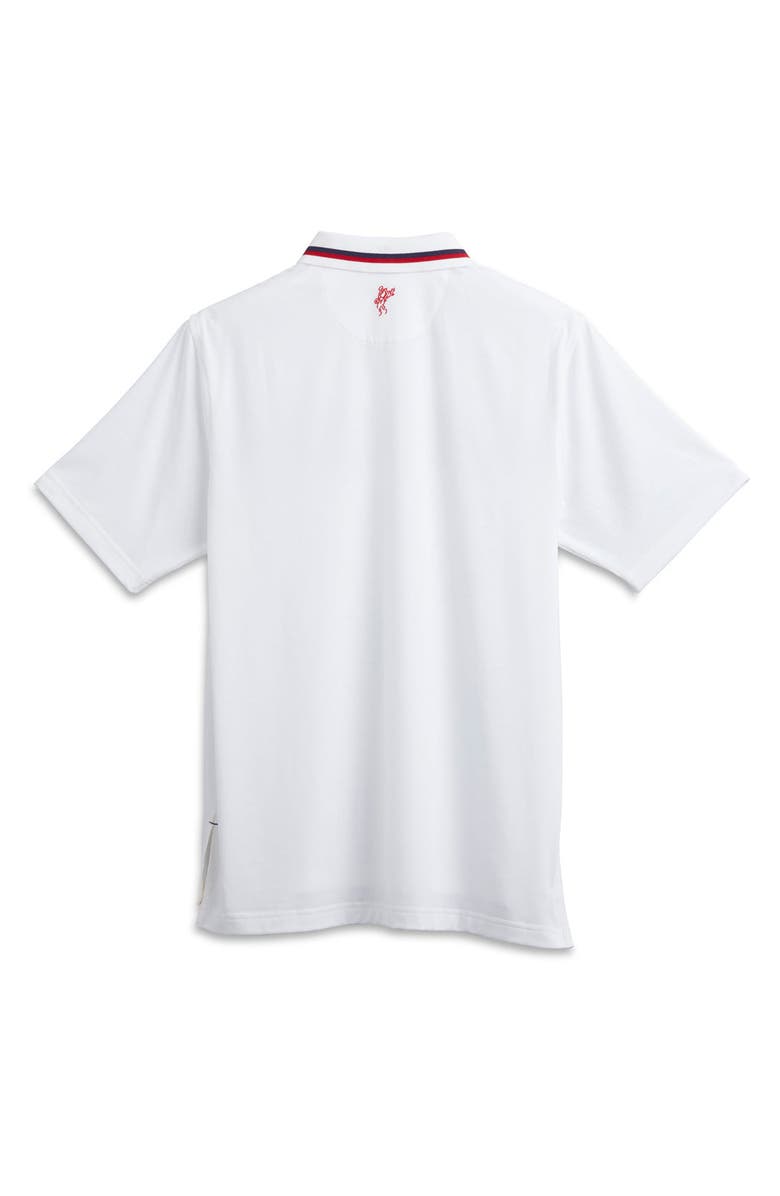 ASHWORTH GOLF Oceanside Polo, Alternate, color, White/Multi