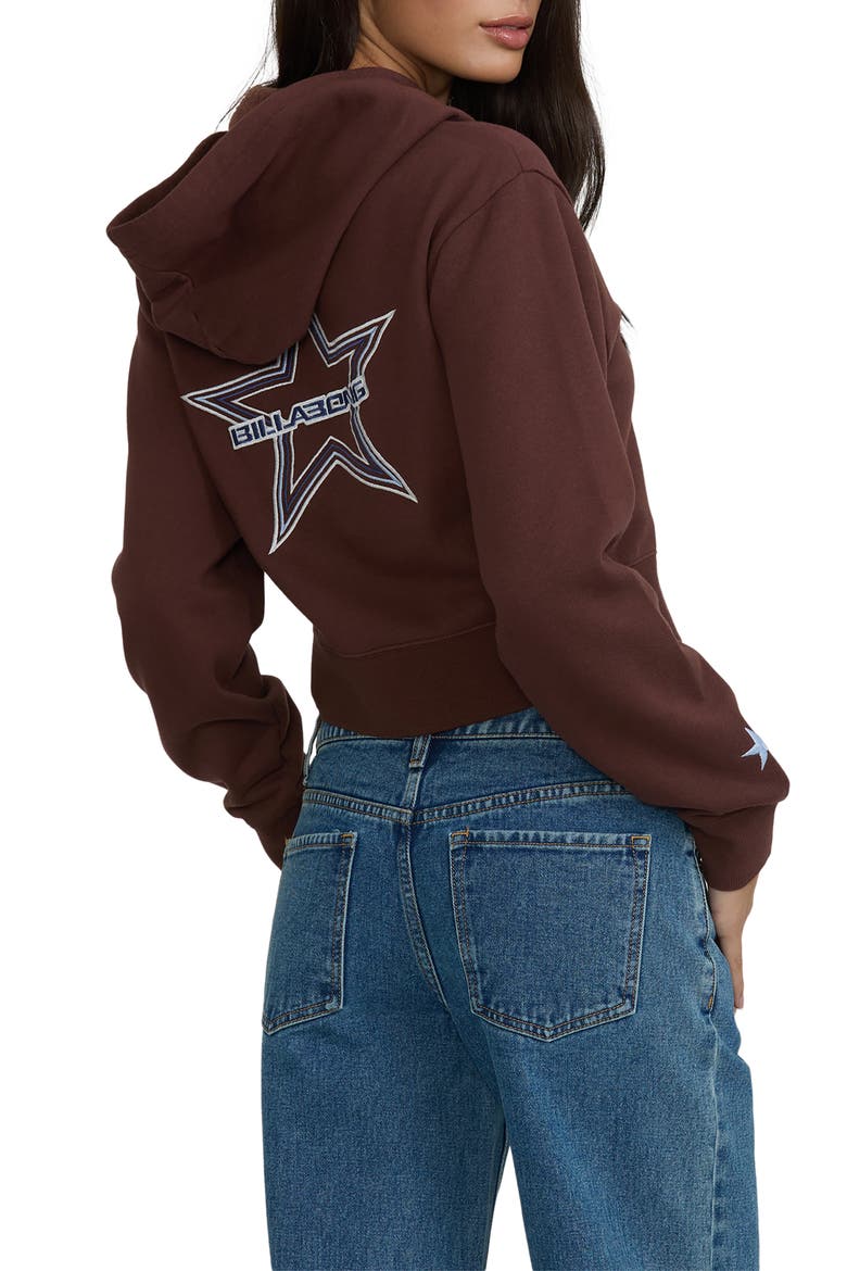 Star Crossed Embroidered Zip Hoodie, Alternate, color, TEAK