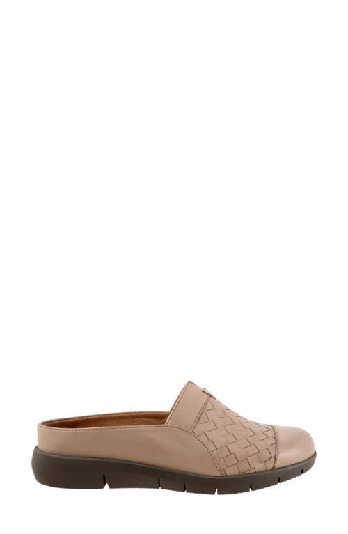 Softwalk ® San Marcos Ii Clog In Taupe