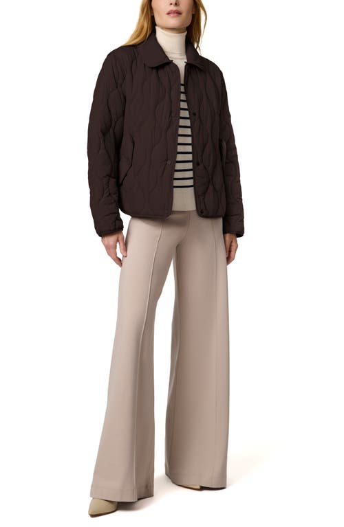 Bernardo Quilted Jacket In Brown