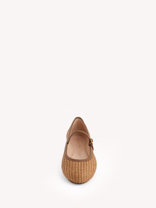 Shop Gianvito Rossi Carla Ballerina In Brown