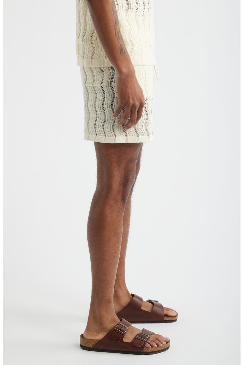 Oceanside Knit Drawstring Shorts, Alternate, color, BEIGE