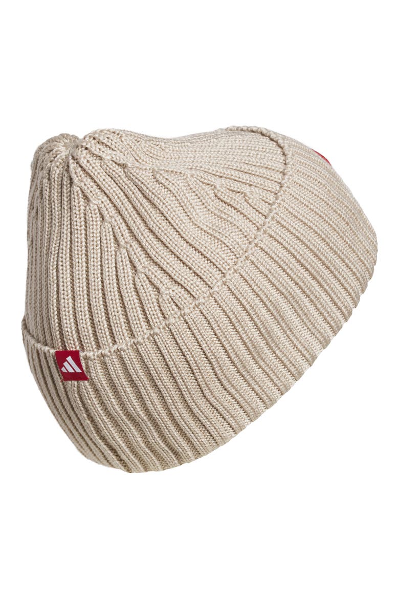 Roam Rib Knit Beanie, Alternate, color, ALUMINA GREY/ RED/ WHITE