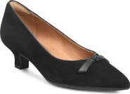 Söfft Shannon Pump