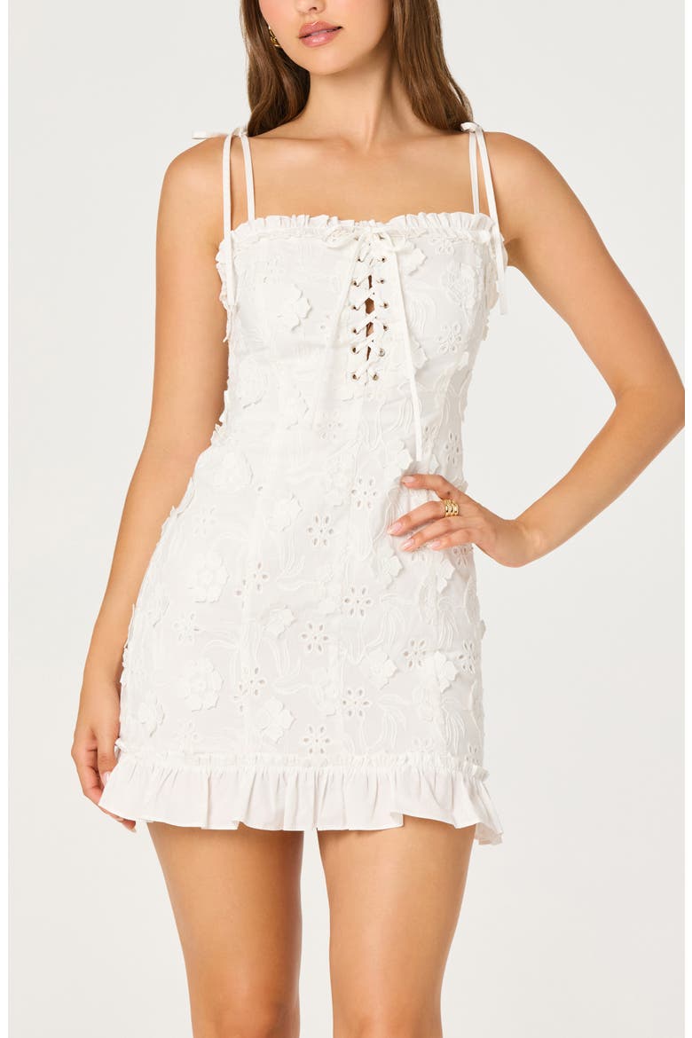 Breanna 3D Floral Appliqué Embroidered Eyelet Corset Minidress, Alternate, color, WHITE