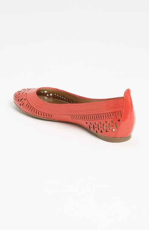Belle By Sigerson Morrison 'andromeda' Flat