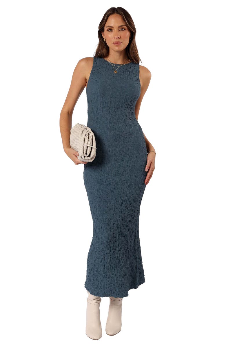 Petal & Pup Clark Texture Sleeveless Maxi Dress, Alternate, color, Charcoal Blue