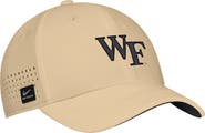 Nike Men's Nike Gold Wake Forest Demon Deacons 2025 On-Field Performance Flex Hat