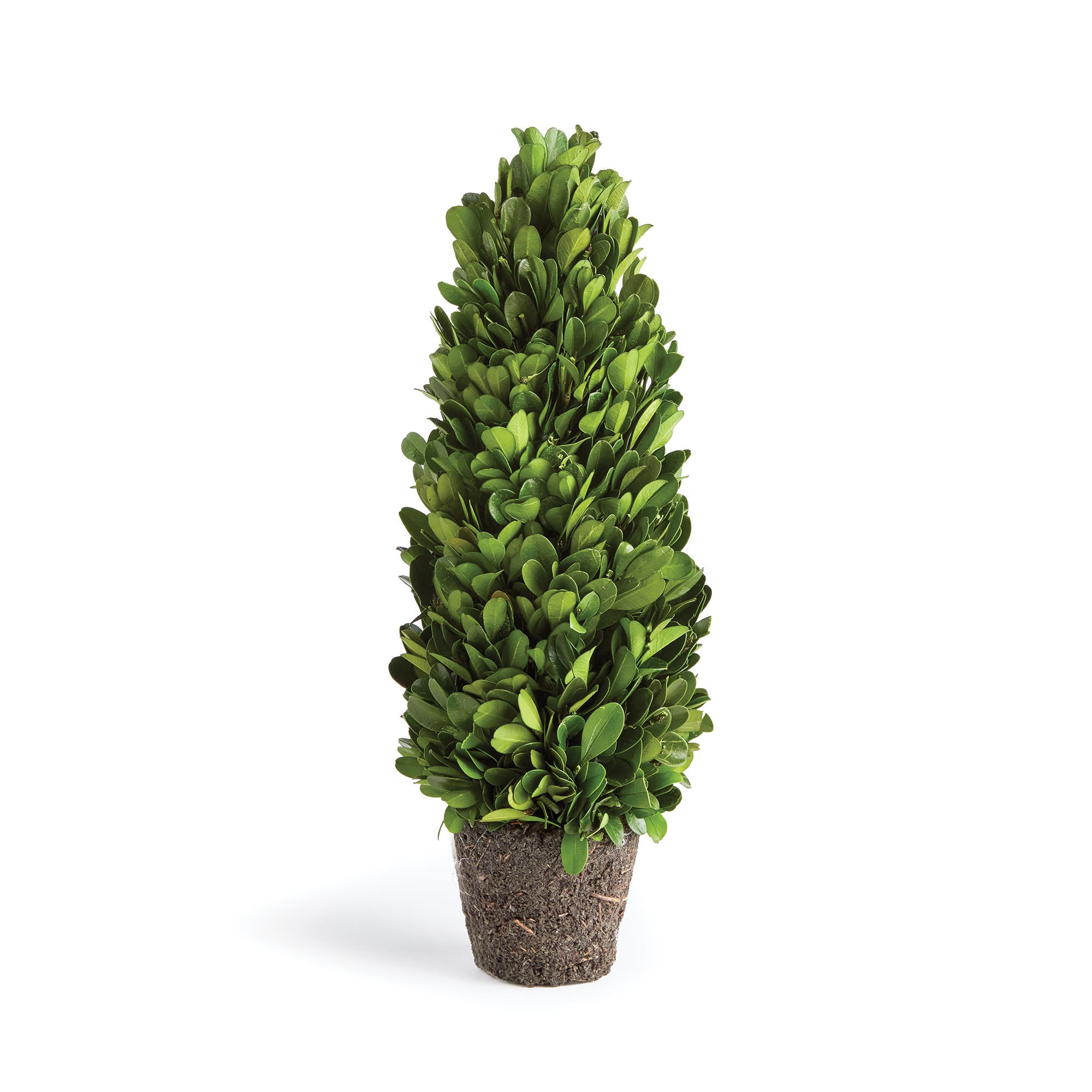 selected Green
