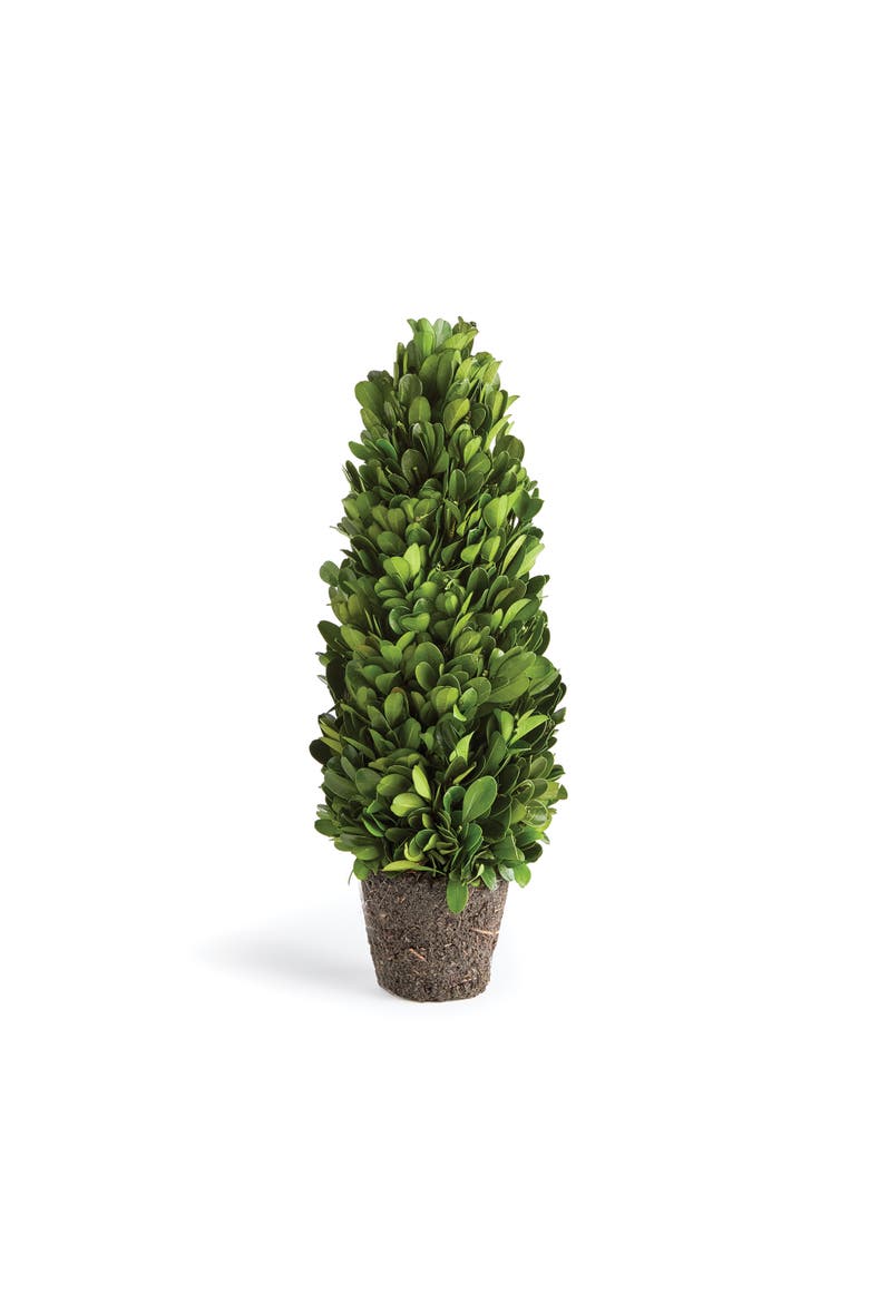 Boxwood Cone Topiary Drop-In 12", Main, color, Green