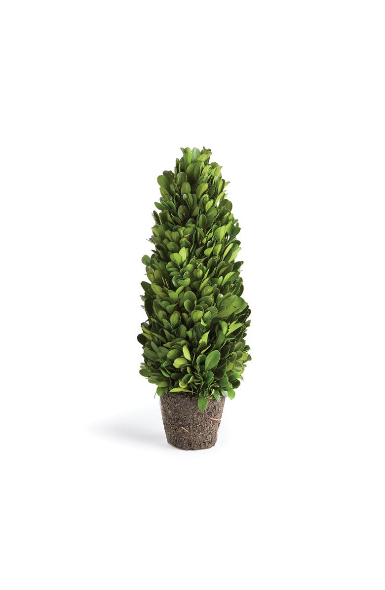Napa Home & Garden Boxwood Cone Topiary Drop-In 12", Main, color, Green