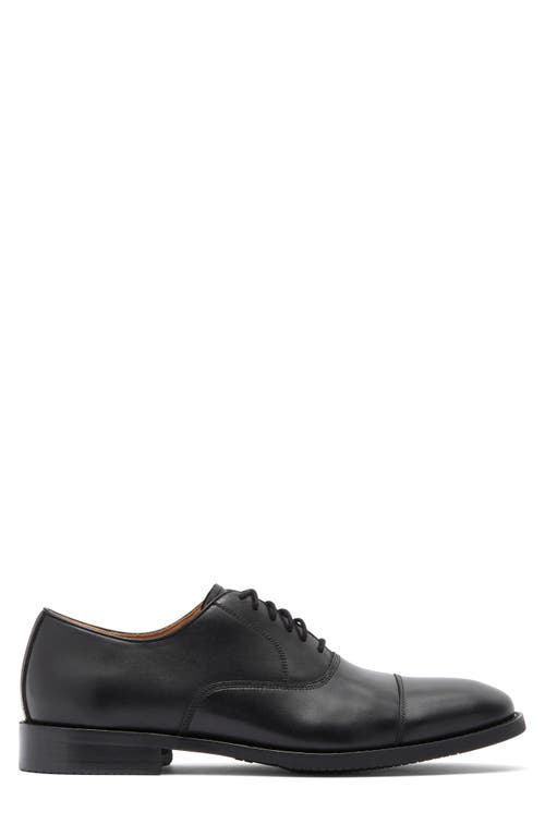 Warfield & Grand Market Cap Toe Oxford In Black
