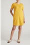  Goldenrod Yellow