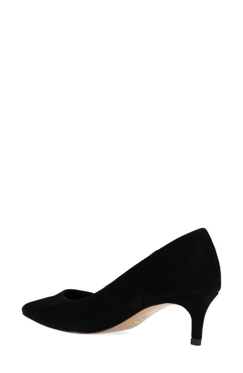 Pelle Moda Aeri Pointed Toe Kitten Heel Pump In Black