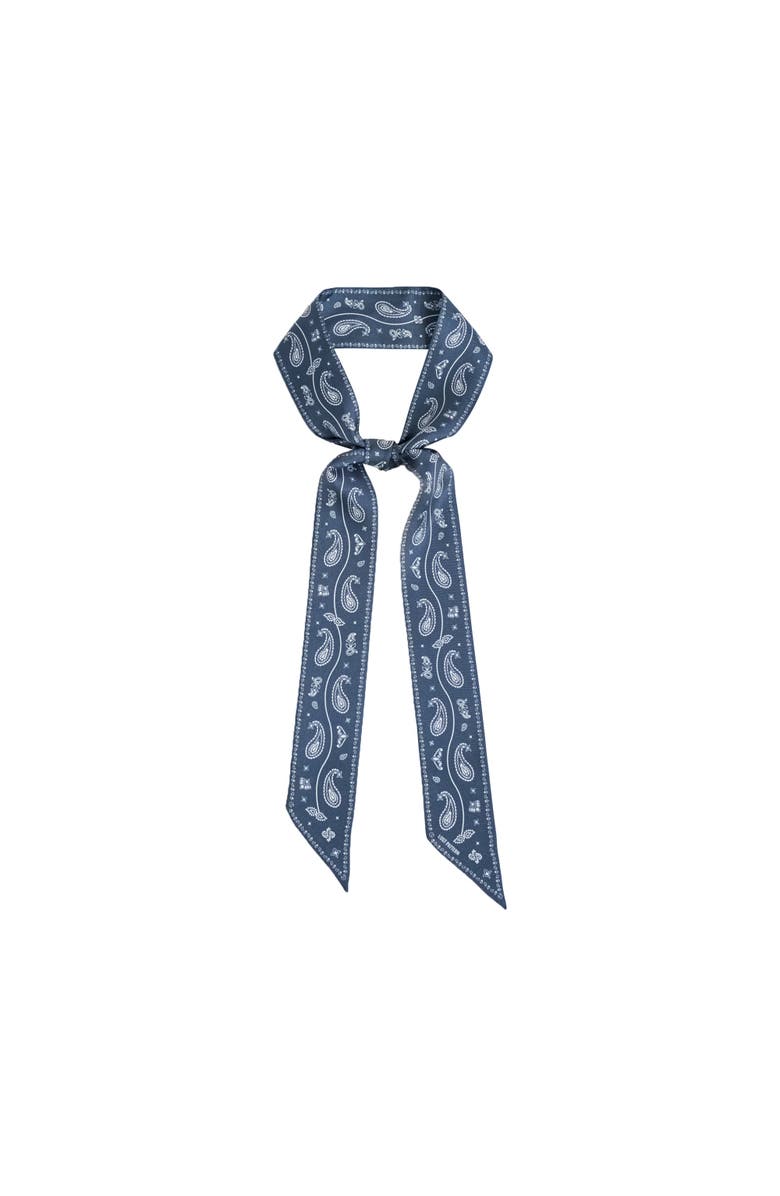Lost Pattern "Paisley" Silk Twill Skinny Scarf, Main, color, Midnight Blue