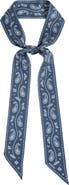 Lost Pattern "Paisley" Silk Twill Skinny Scarf