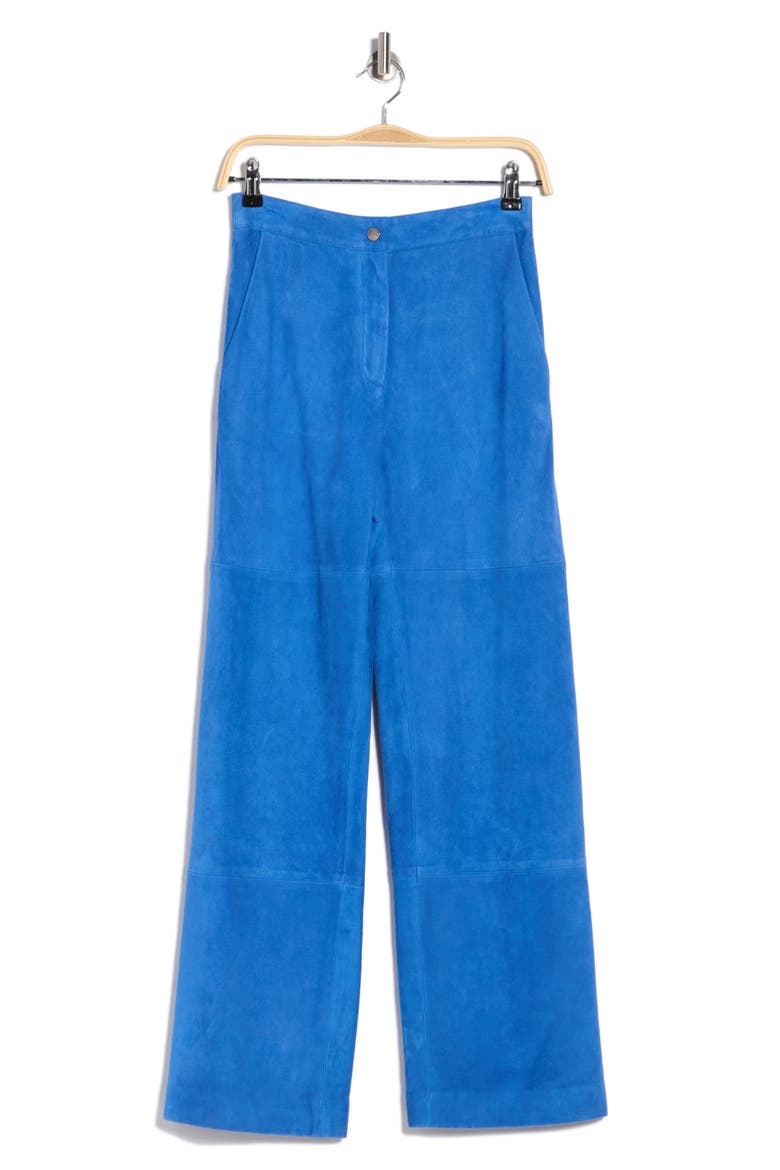 Wide Leg Suede Pants, Alternate, color, BLUE