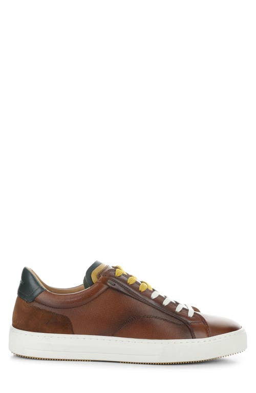 AMBITIOUS AMBITIOUS 11218 LOW TOP SNEAKER 