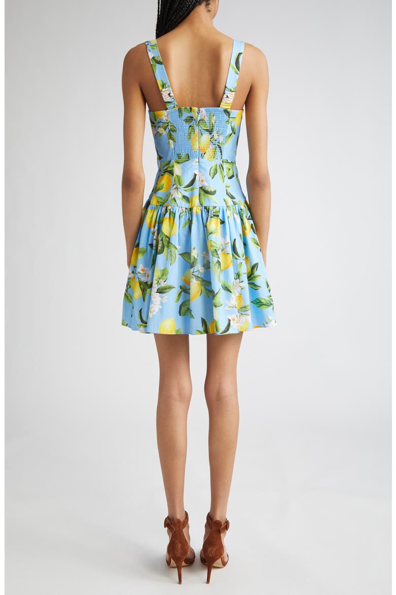 Jai Lemon Print Corset Minidress, Alternate, color, SKY BLUE/ YELLOW FLORAL LEMON