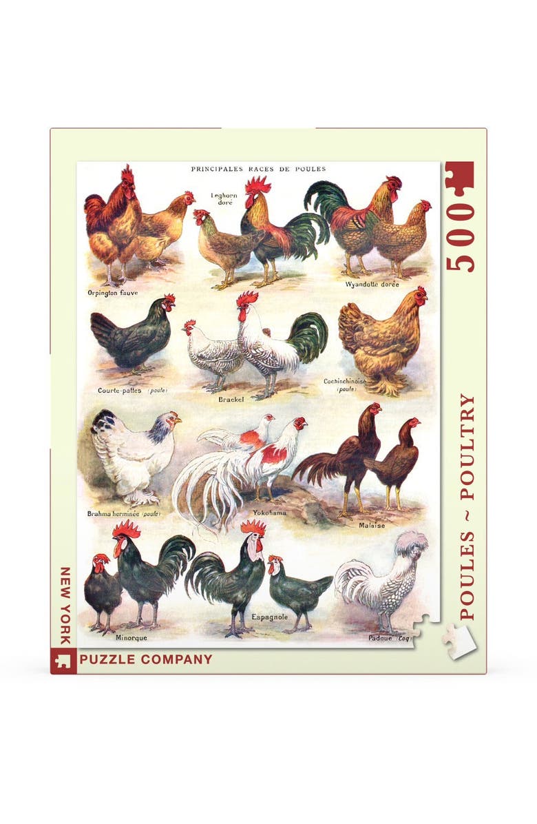 NEW YORK PUZZLE COMPANY Poules ~ Poultry 500 Piece Puzzle, Main, color, NO COLOR