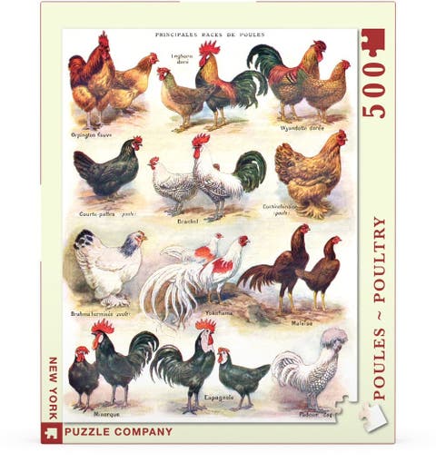 Poules ~ Poultry 500 Piece Puzzle