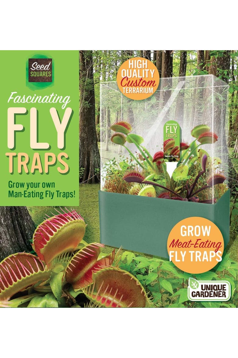 Grow Your Own Venus Fly Trap, Complete Adults Square Terrarium Starter Kit, Alternate, color, None