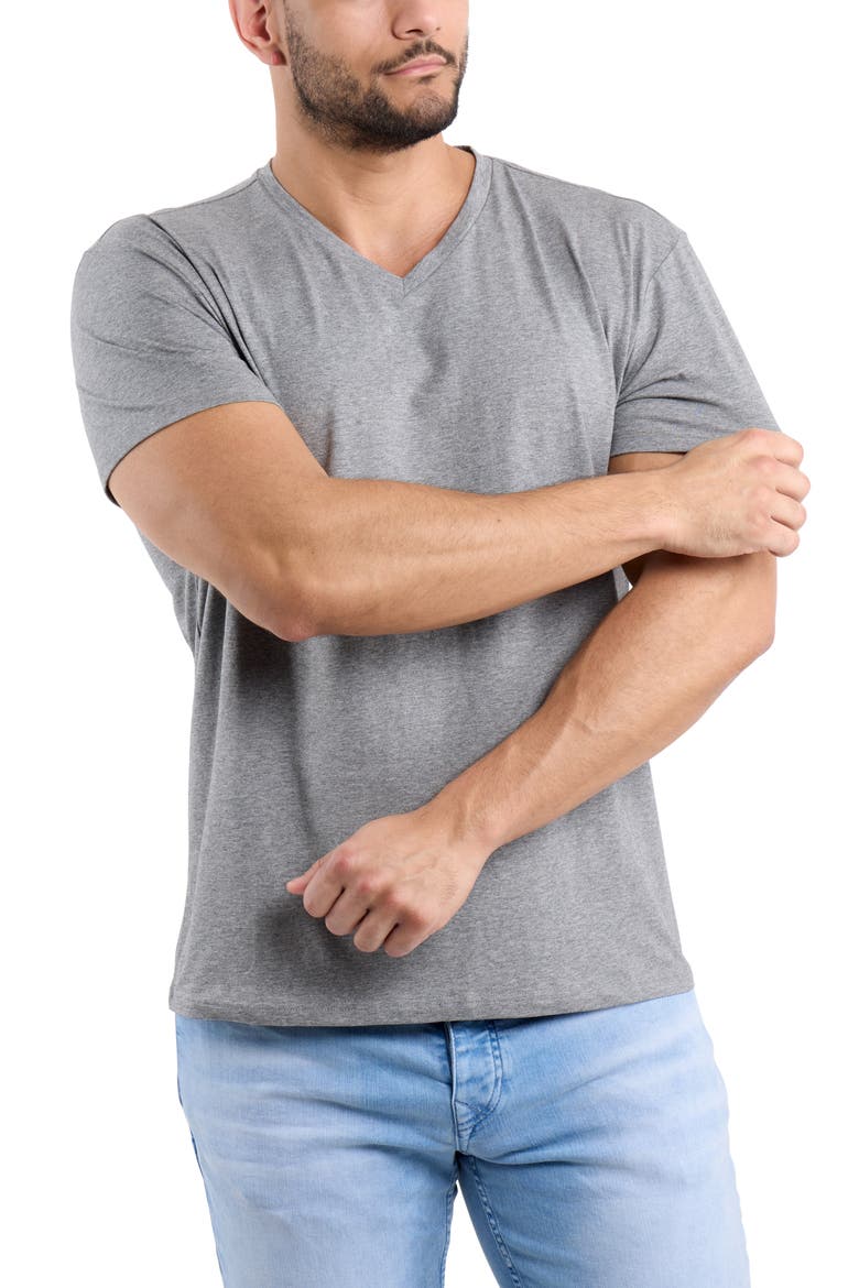 V-Neck Flex T-Shirt, Alternate, color, OATMEAL