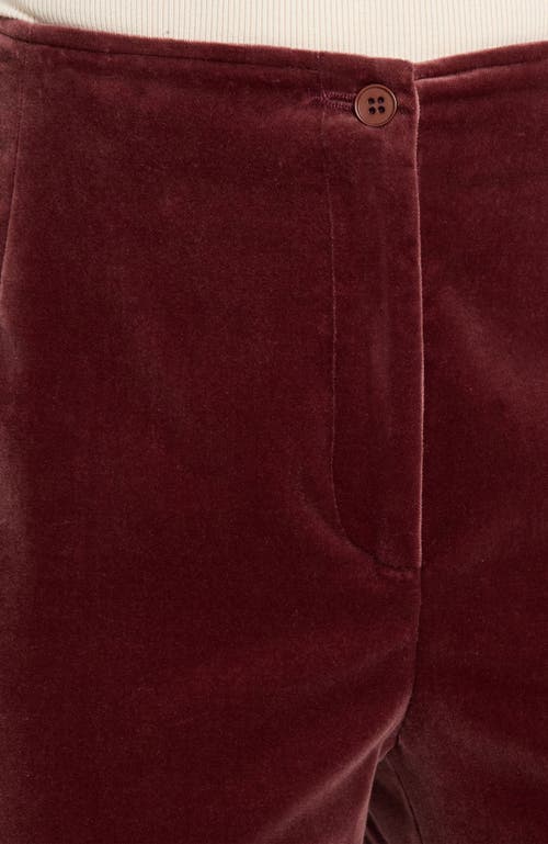 Santorelli Elizabeth Flared Leg Pant In Pink