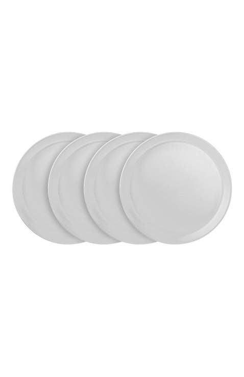 Albie Stoneware 4-Piece Dinner Plate Set