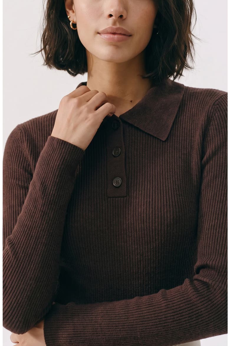 Polo Rib Sweater, Alternate, color, CHOCOLATE TORTE