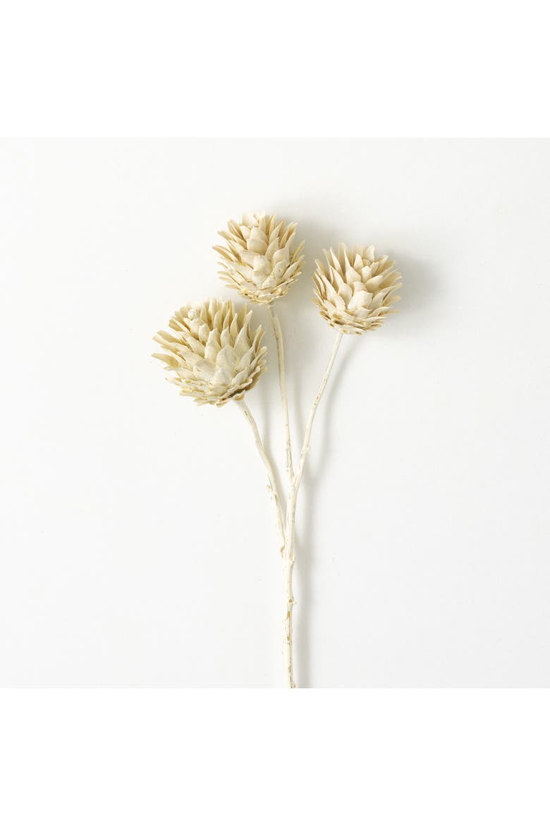Sullivan's Dragon Spray, White Faux Floral Stem for Crafting, Weddings, Home and Holiday Decoration, 23 Inch, Main, color, Beige
