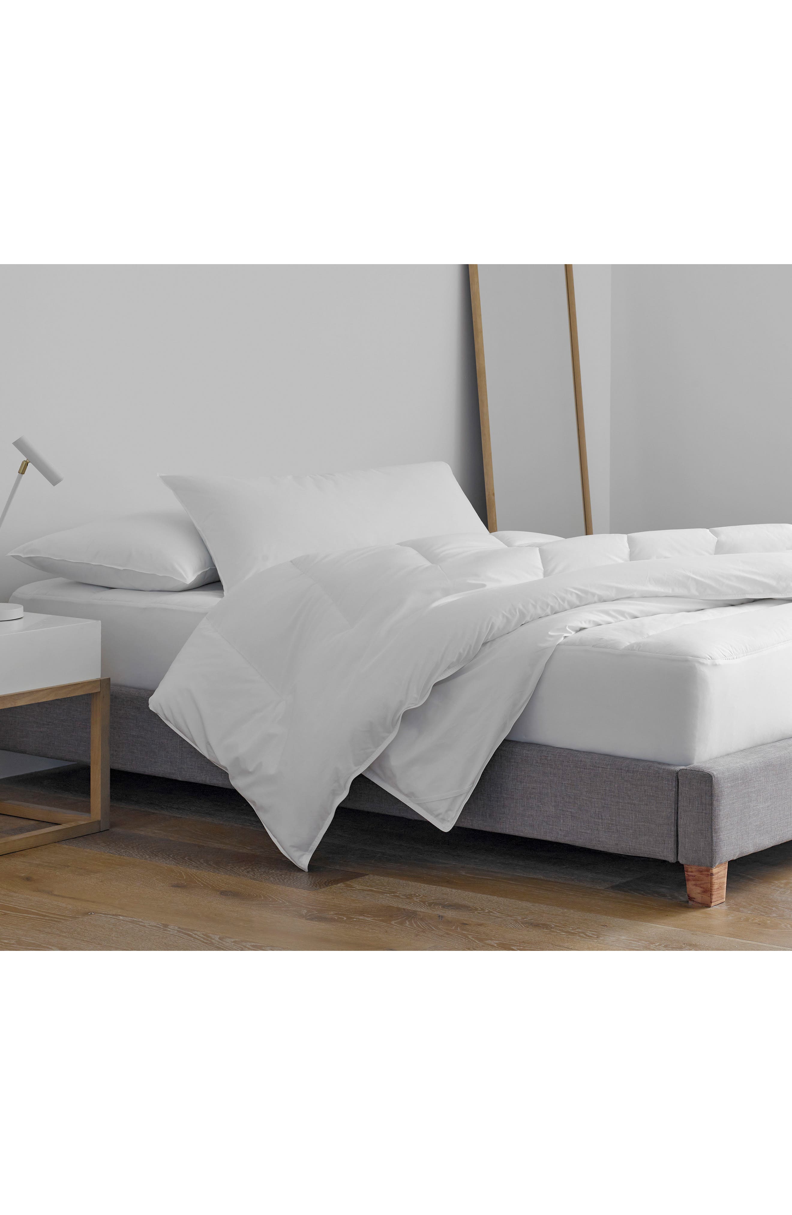 Martex Clean Essentials Pillow & Pillow Protector Set