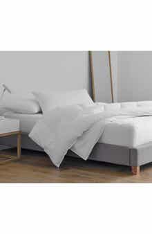 Martex Clean Essentials Pillow & Pillow Protector Set