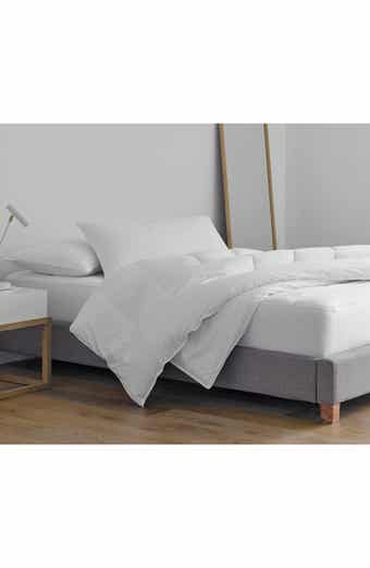 Clean Essentials Pillow & Pillow Protector Set