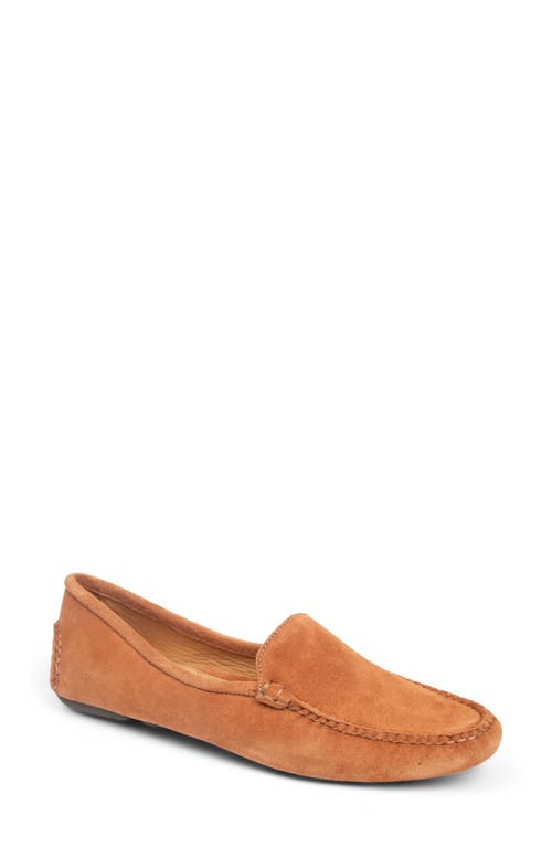 Patricia Green 'jillian' Loafer In Brown