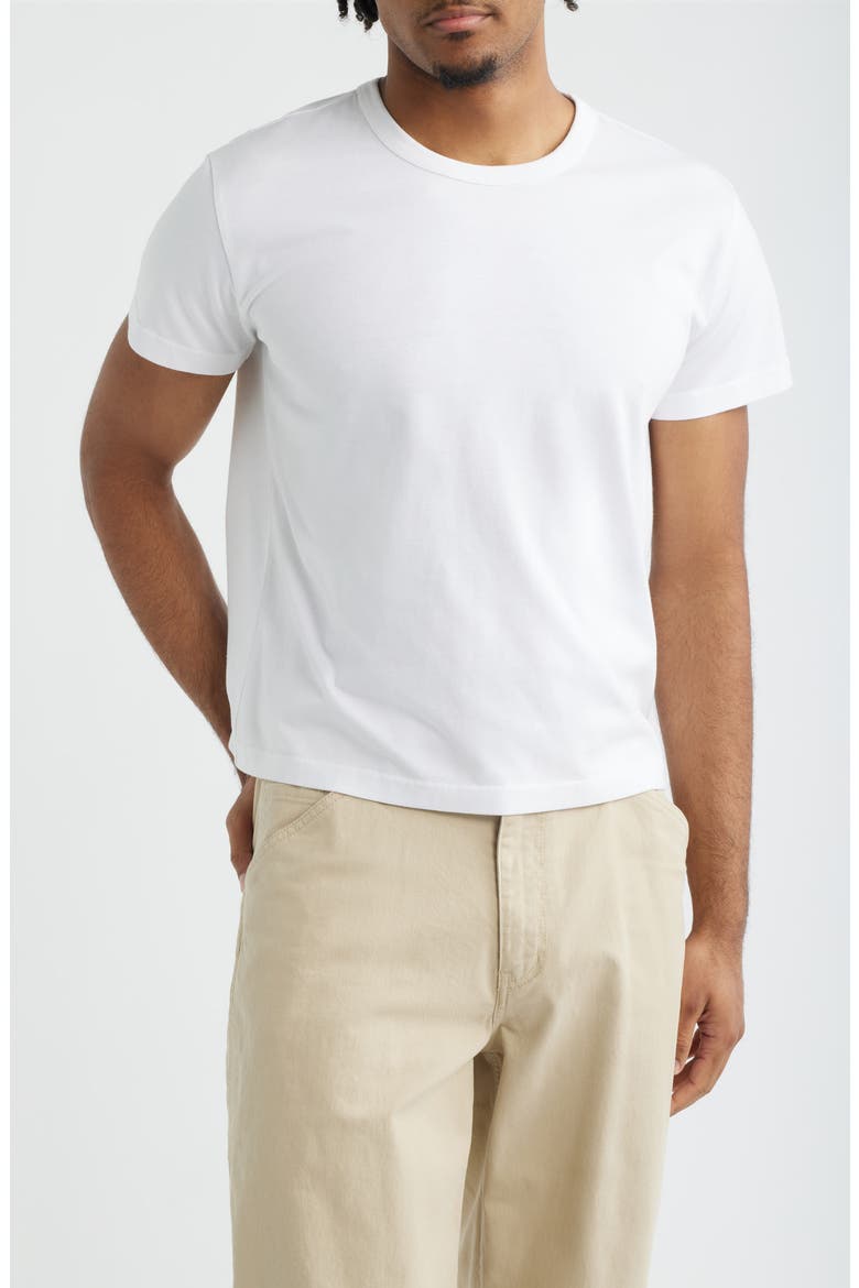 Shrunken T-Shirt, Main, color, WHITE
