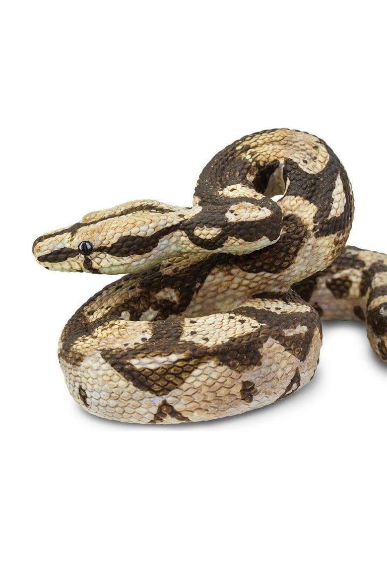 Boa Constrictor Toy, Alternate, color, No Color