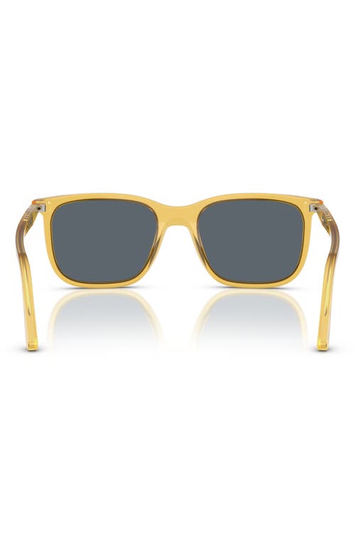 Persol 53mm Rectangular Sunglasses In Blue White